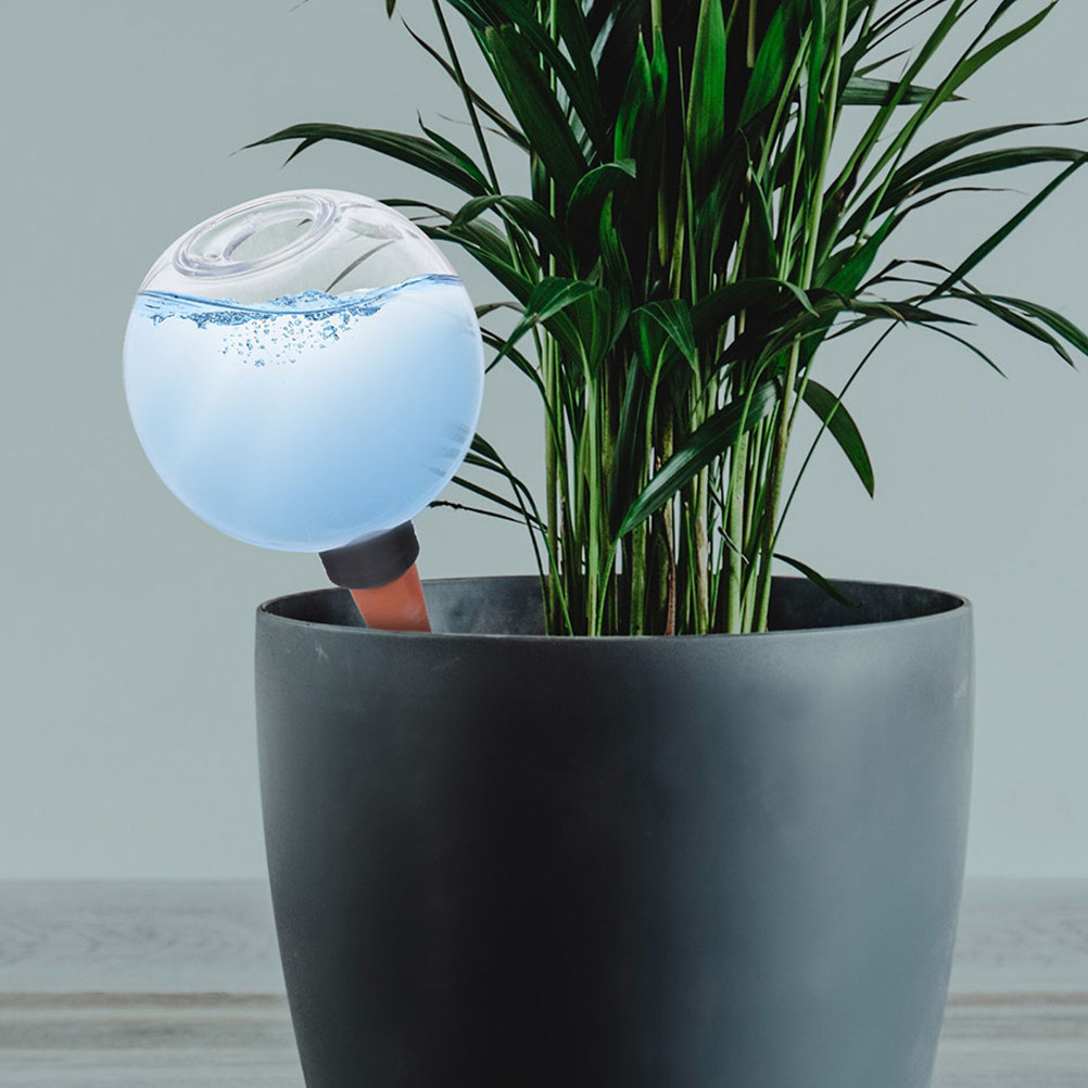 3 Globes d'arrosage automatiqu - Self Watering Insert avis et prix