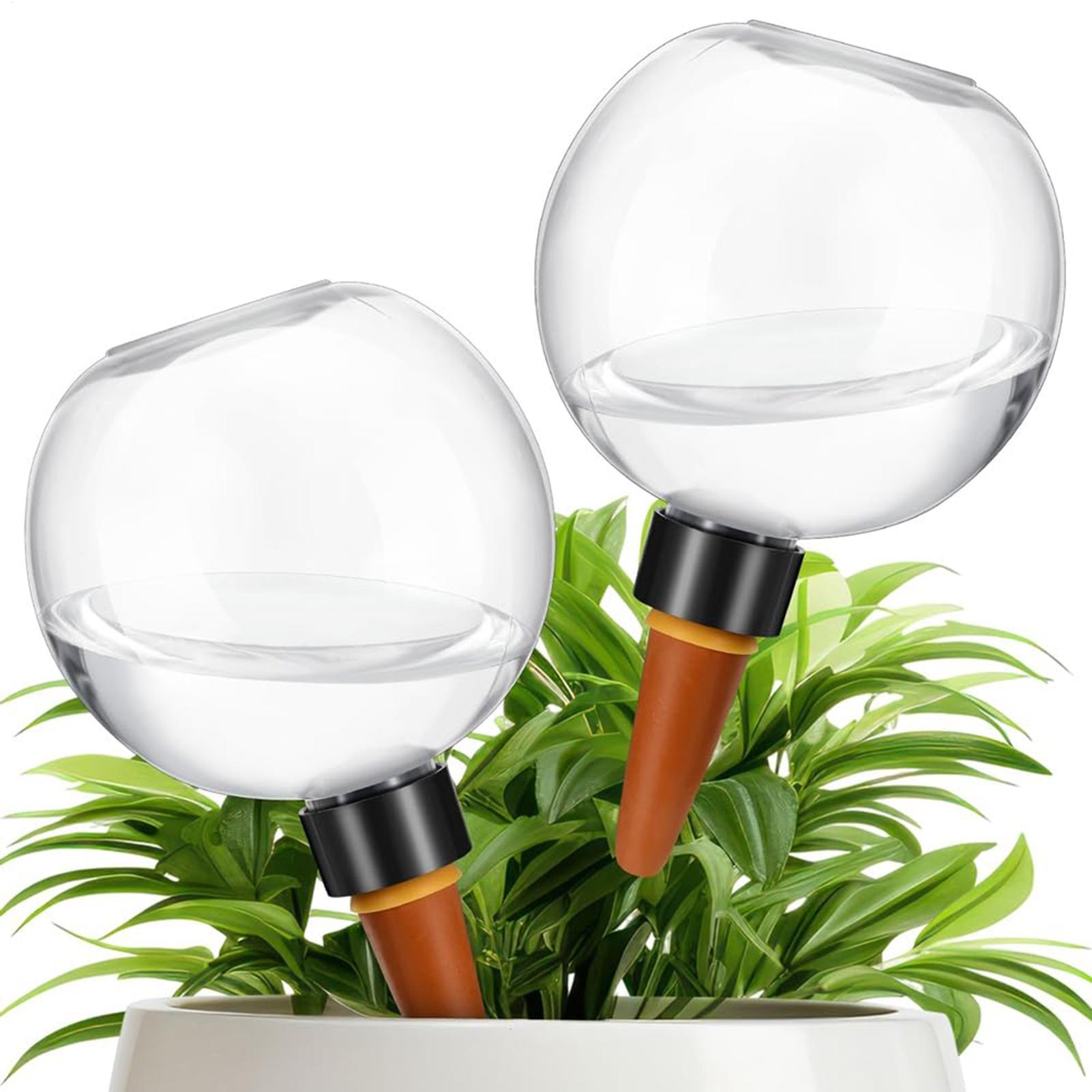 Ampoules d'arrosage automatiqu - Self Watering Insert avis et prix