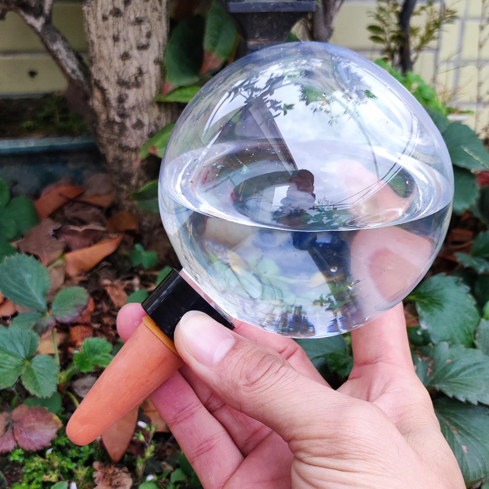 Ampoules d'arrosage automatiqu - Self Watering Insert avis et prix