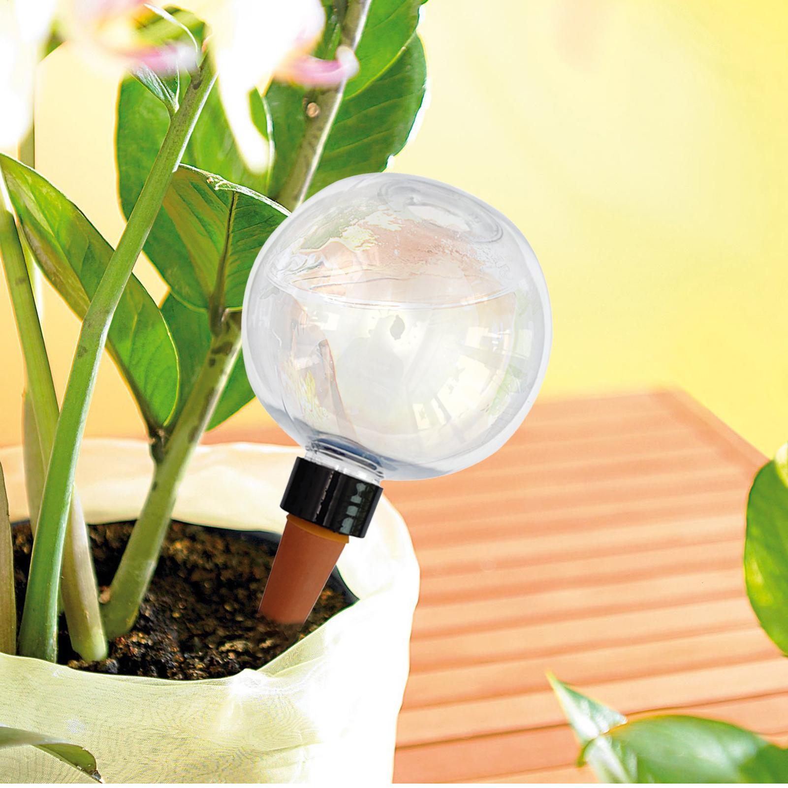 Ampoules d'arrosage automatiqu - Self Watering Insert avis et prix